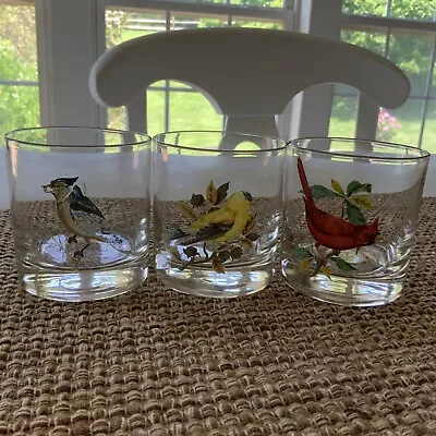 Vintage West Virginia Glass Company Song Birds Lowball Whiskey Glasses MCM • $39