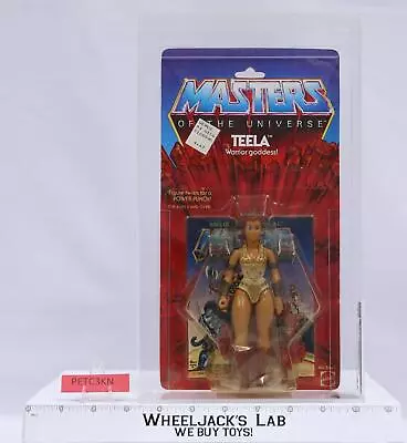 Teela CAS GRADED 75+ 75/85/90 He-Man Masters Of The Universe MOTU 8-Back 1982 • $1200