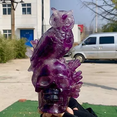 4.08LB Natural Colour Fluorite Crystal Quartz Hand-carved Owl And Skull Healing • $558.75