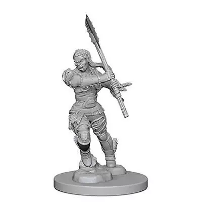 Pathfinder: Deep Cuts Unpainted Miniatures: Half-Orc Female Barbarian • £18.59