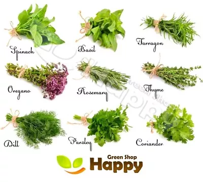 £1.19 • Buy 🌱Herb Seeds - Melissa Basil Thyme Chives Dill Parsley Indoor Outdoor 53 Species