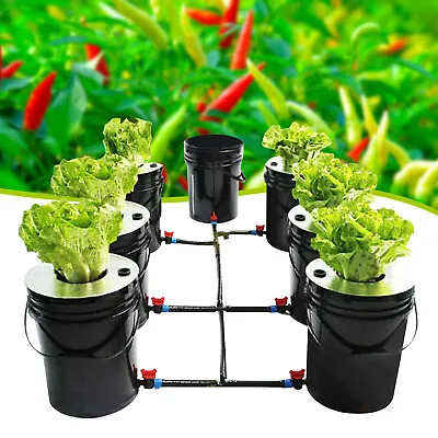 DWC 5 Gallons 6 Buckets Hydroponics Growing System Recirculating Growing Kit US • $177