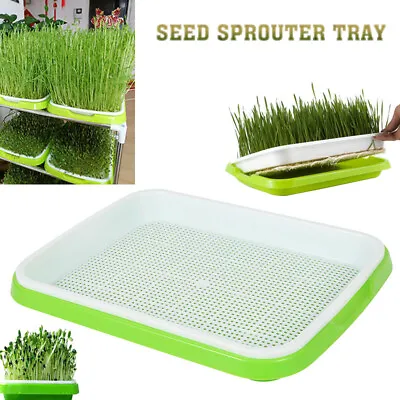 £5.92 • Buy Nursery Pot Seed Sprouter Tray Soil-Free Wheatgrass Grower Seedling Sprouts