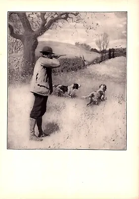  ON THE WING  BIRD HUNTING DOGS GUN A.B. Frost Antique Lithograph 1904 • $43