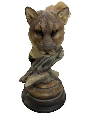 Catamount Cougar Mountain Lion Statue - Stephen Herrero -Mill Creek Studios 6.5” • $39.90