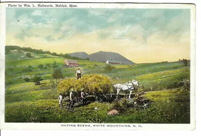 CO-460 NH White Mountain Haying Scene White Mountains Postcard Malden MA  • $12.50