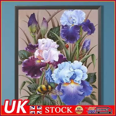 DIY Hand Painted Paint By Numbers Oil Canvas Pictures Iris Flowers Kit Ornaments • £8.89