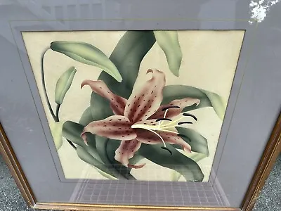 Vintage 1940’s Turner Airbrush Painting Oriental Stargazer Lily Original Frame • $125