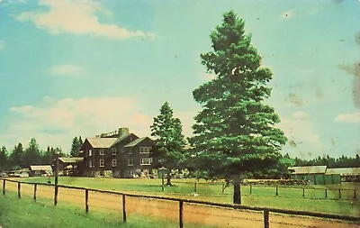 Sky Lodge & Motel Moose River Maine Vintage PC • $4.49