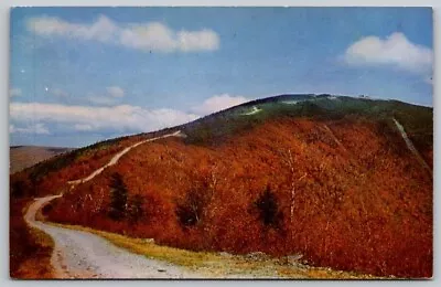 Vintage Equinox Sky Line Drive Manchester Vermont Postcard Landscape • $4.99