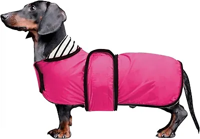 Dachshund Pink Raincoat With Reflective Trim And Adjustable Band Size XL • £14