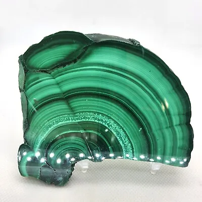 Malachite Polished Slab Specimen Display Mineral Green #R-5828 • $79