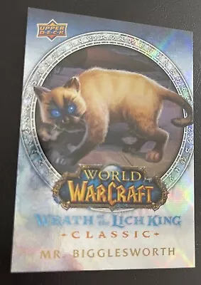 BlizzCon 2023 World Of Warcraft Lich King Mr. Bigglesworth Foil Chase SDCC Rare • $49.99