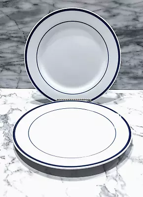 2 Maitre D' Oneida Blue & White 9 1/8  Durable Porcelain Salad / Dessert  Plates • $15