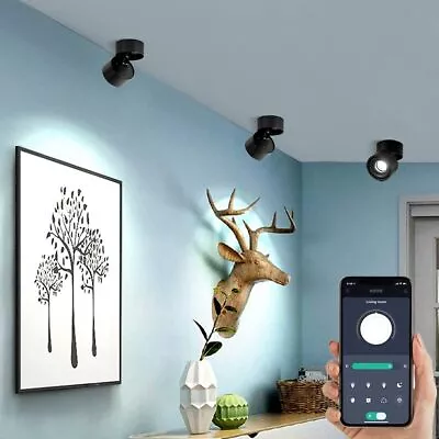 Ceiling Art Spotlight LED Dimmable Adjustable Downlight COB Lighting Swivel Lamp • $46.18