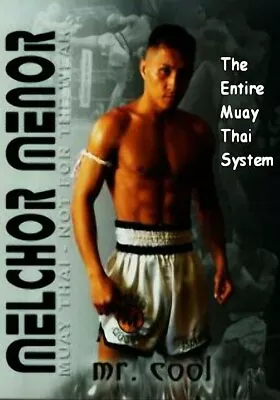 The Entire Muay Thai System - Melchor Menor BJJ UFC MMA Jiu-Jitsu • $20
