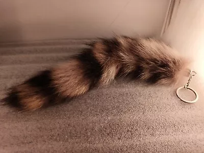 Raccoon Tail On Key Ring & Chain Real Raccoon Fur 11.5   Long • $17.24