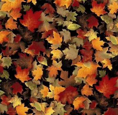 Maple Leaves Print Fleece Fabric - 60  Wide - Sold By The Yard & Bolt • $149.25