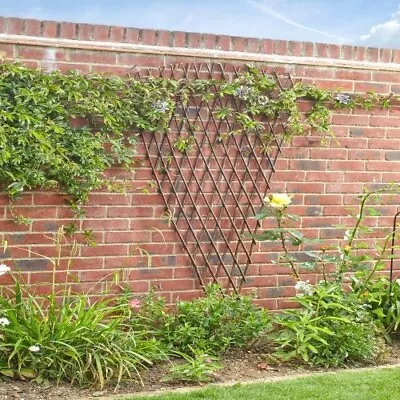 Extra Strong Expanding Fan Willow Trellis 1.8m X 0.9m • £21.98