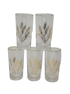 Set Of 5 - VINTAGE HOMER LAUGHLIN GOLDEN WHEAT 10 Oz DRINKING GLASSES • $30