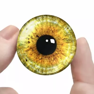 Yellow Monster Eyes Realistic Glass Eyeballs Doll Craft Set 35mm • $14.99
