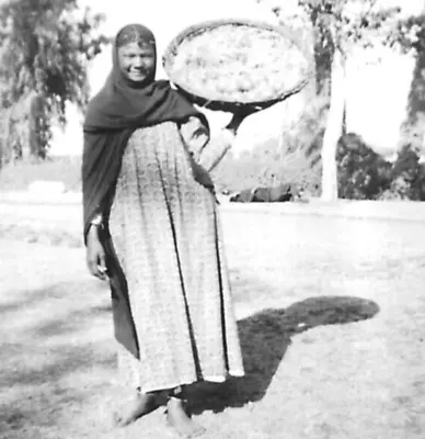 Vintage Photo Cairo Egypt Local Woman Egg Seller 1940s • £9.99