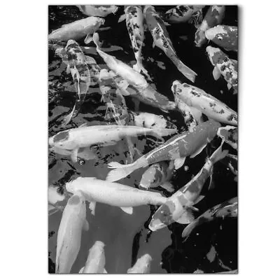 A1 - BW - Koi Carp Pond Fish Japanese Poster 59.4x84.1cm180gsm Print #43107 • £9.99