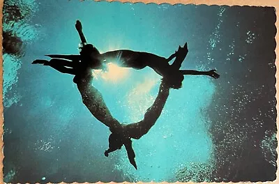 Weeki Wachee Mermaids Underwater Ferris Wheel Florida Vintage 6x4 Postcard 1981 • $19.95
