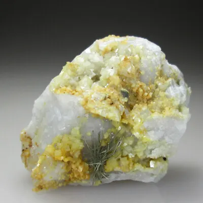 Millerite Collector Mineral Specimen From Illinois USA • $350