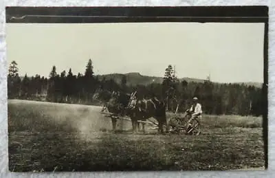 Rppc Postcard Farmer Mowing With Horse Drawn Mower #1b • $5.95