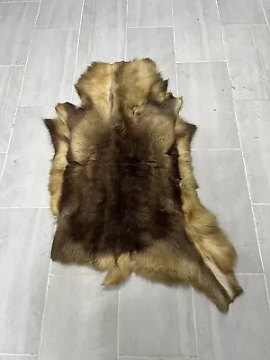 Tanned Bull Elk Hide Winter Coat Rug Or Throw Stamped By Product Of Norway 28x48 • $200