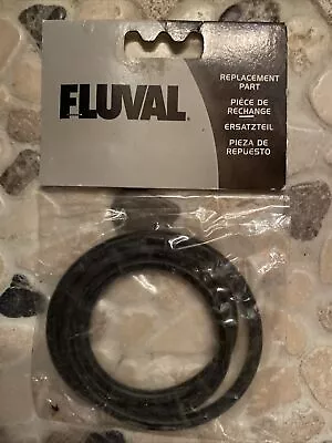 $16 • Buy Fluval Motor Head O-ring Gasket 20063 A20064 304 305 404 405 306 406 307 407
