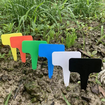 £3.99 • Buy Plastic Plant Labels Garden Markers T-Type Gardening Name Tags Herbs Pots White