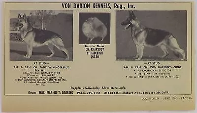 Von Darien Kennels 1964 Vintage Dog World German Shepherds San Jose CA Clipping • $1