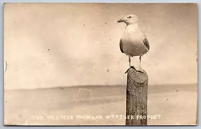 Western Michigan Weather Prophet~Seagull On Post On Beach~RPPC 1930s? Postcard • $11