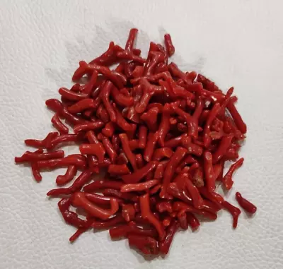 100%Natural Italian Red Coral Branch Mediterranean Sea Coral Gemstone 50 Ct Lot • $34