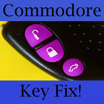 $3.60 • Buy Holden Commodore Key Buttons VS VT VX VY VZ Purple Set