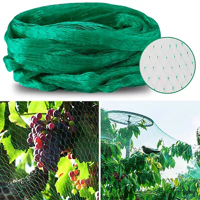 Plants Protective Netting Anti Bird Net Green Anti Squirrels Net Mesh Protector • $8.99