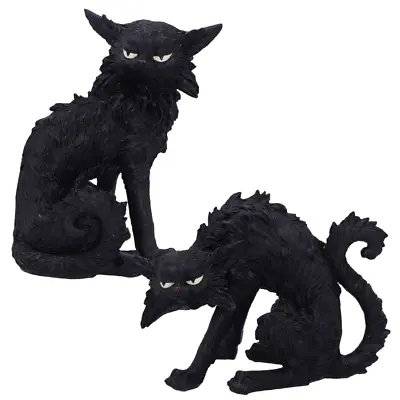 Salem & Spite Black Witch Cat Figurines Nemesis Now (Small) Goth Halloween Decor • £45.49