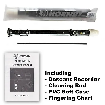  Recorder Learn How To Play The Hornby Descant School Recorder Full Outfit 100H • £12.99