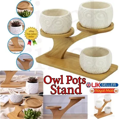 £12.66 • Buy Owl Pots Flower Plant Pot Ceramic Bamboo With Stand Display Decor Uk