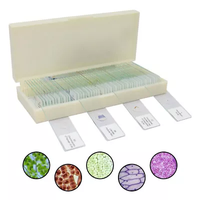 50pcs Glass Prepared Microscope Slides Biological Microscope Specimen Set USA • $26.99