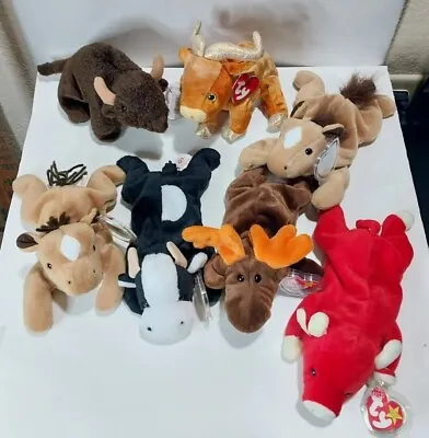 Vintage TY Beanie Babies Lot Of 7 With Swing Tags Cows Horse Moose Buffalo   • $11.70