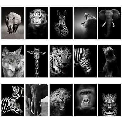 Wild Animal Poster Photo Print Black And White Picture Home Wall Art Decoration • £5.60