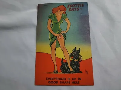 Vtg. Comic Linen Postcard Scottie Says Sexy Lady Dog Unused Color Litho D-043 • $5