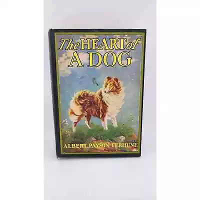 The Heart Of A Dog By Albert Payson Terhune Illustrated By Maguerite Kirmse 1924 • $20.99