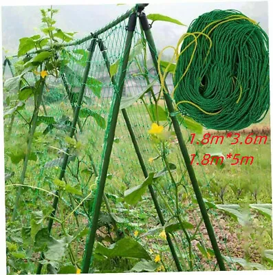 £5.59 • Buy Plant Support Mesh Garden Net Vegetable Fruit Climbing Netting Pea Bean Trellis