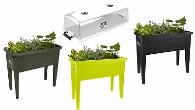 £31.16 • Buy Raised Bed Pot Vegetable Garden Planter - Elho XXL Grow Table, W/Lid, 3 Colours!