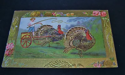 $5.50 • Buy Thanksgiving Postcard - Thanksgiving Greetings - 1909