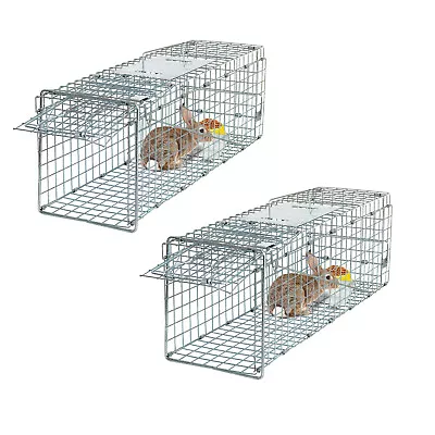 Live Animal Cage Trap 24 /32  Humane Folding Rodent Cage Rabbit Raccoon Cage  • $49.58